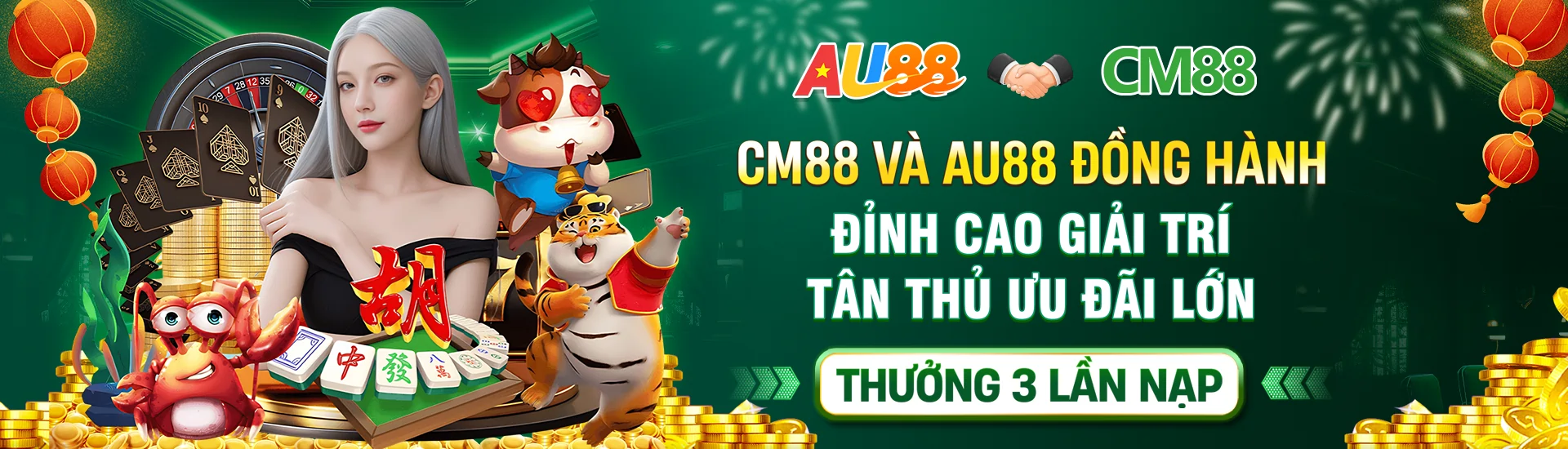 banner cm88