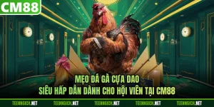 Mẹo Đá Gà Cựa Dao Siêu Hấp Dẫn Dành Cho Hội Viên Tại CM88